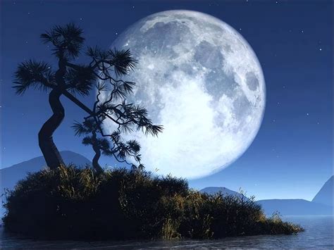 形容夜晚月光入流水的句子,体现出静谧与美丽，急？