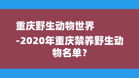 重庆野生动物世界
-2020年重庆禁养野生动物名单？-图1